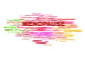 Blogs 4 menopause